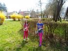 SAM_0208