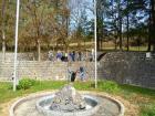 SAM_0222
