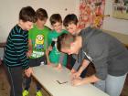 SAM_0043