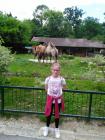 IMG_20170525_114557