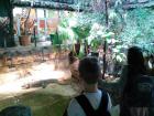 IMG_20170525_115547