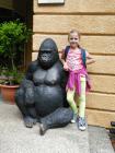 IMG_20170525_135836